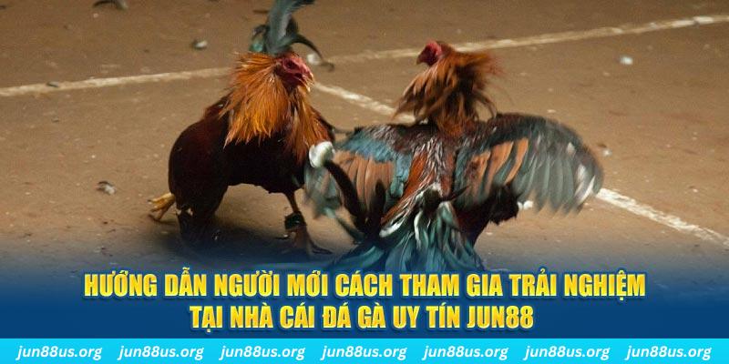 ely88 loi game dot kich ket noi may chu that bai