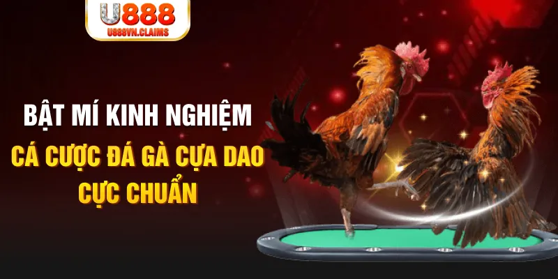 ely88 xổ số miền nam xổ số miền nam