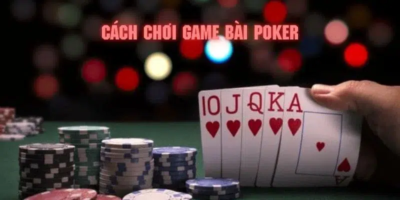 ely88 đăng nhập poker 2024
