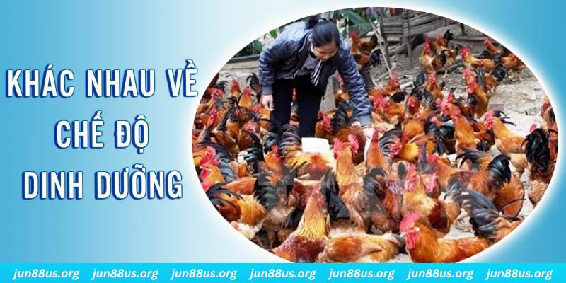 ely88 xổ số miền nam thứ năm hàng tuần