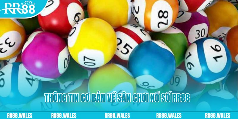 ely88 đá gà hôm nay