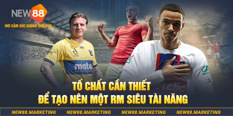 ely88 đá gà thomo