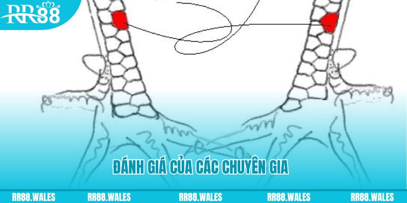 ely88 V8 Game Bài 3d