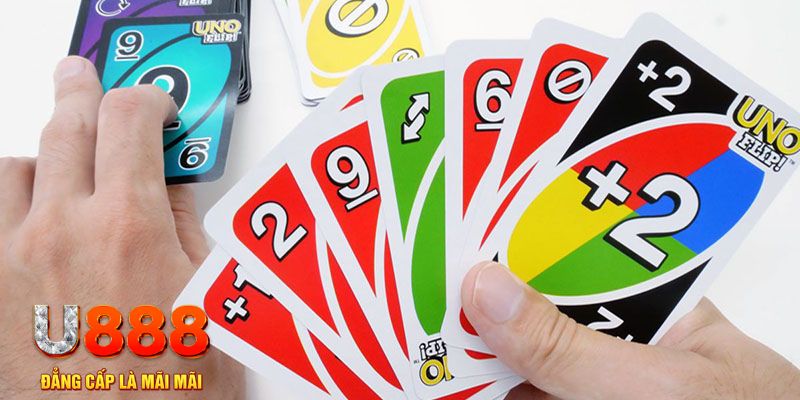 ely88 gà chọi cu cần