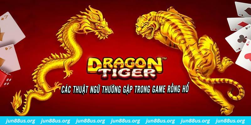 ely88 ÁT CHỦ BÀI ĐẤU ĐỊA CHỦ