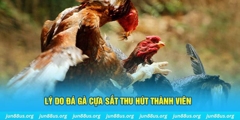 ely88 chiếm slot là gì