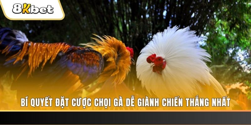 ely88 xổ số thứ hai hàng tuần