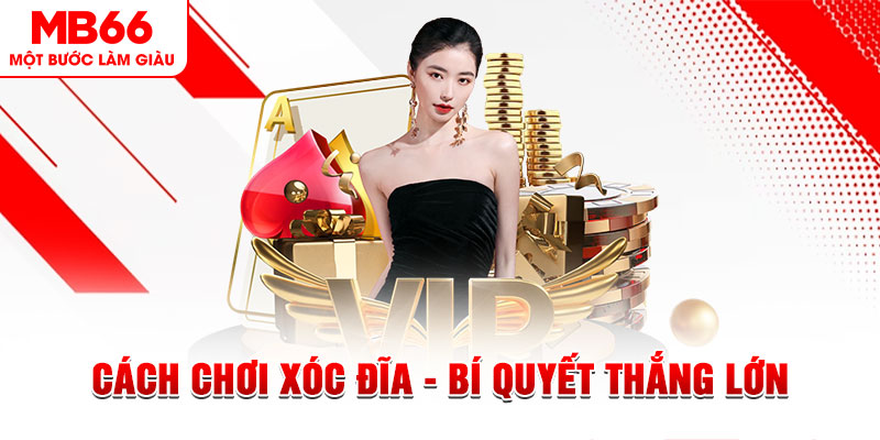 ely88 trực tiếp đá gà c1 hôm nay