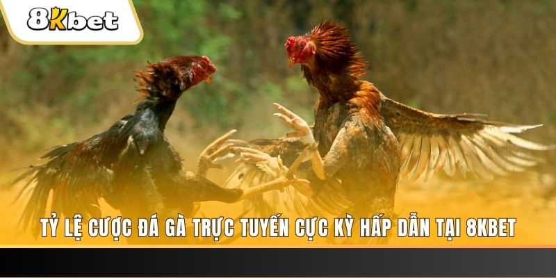 ely88 baccarat online bịp như thế nào