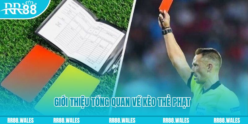 ely88 những ai nên chơi nổ hũ