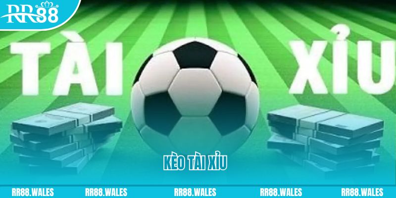 ely88 Giành Chủ Bull Bull